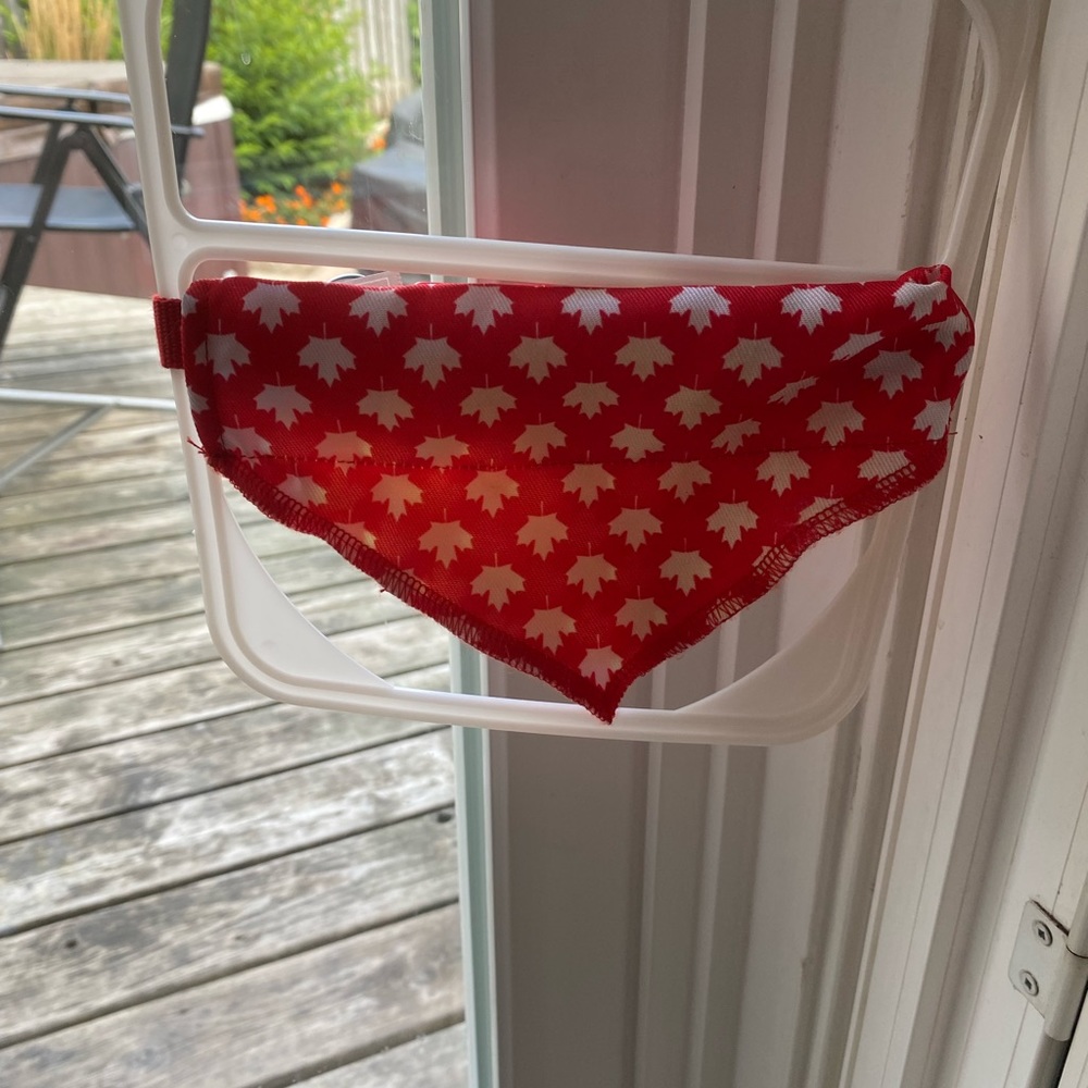 Top Paw | Canada Print Collar